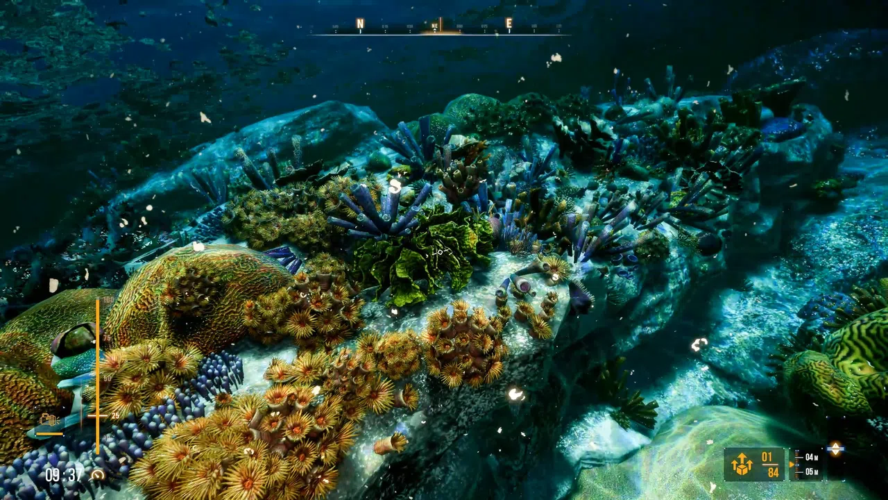Deep Diving Adventures 2 Screenshot 6