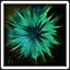 First Steps icon