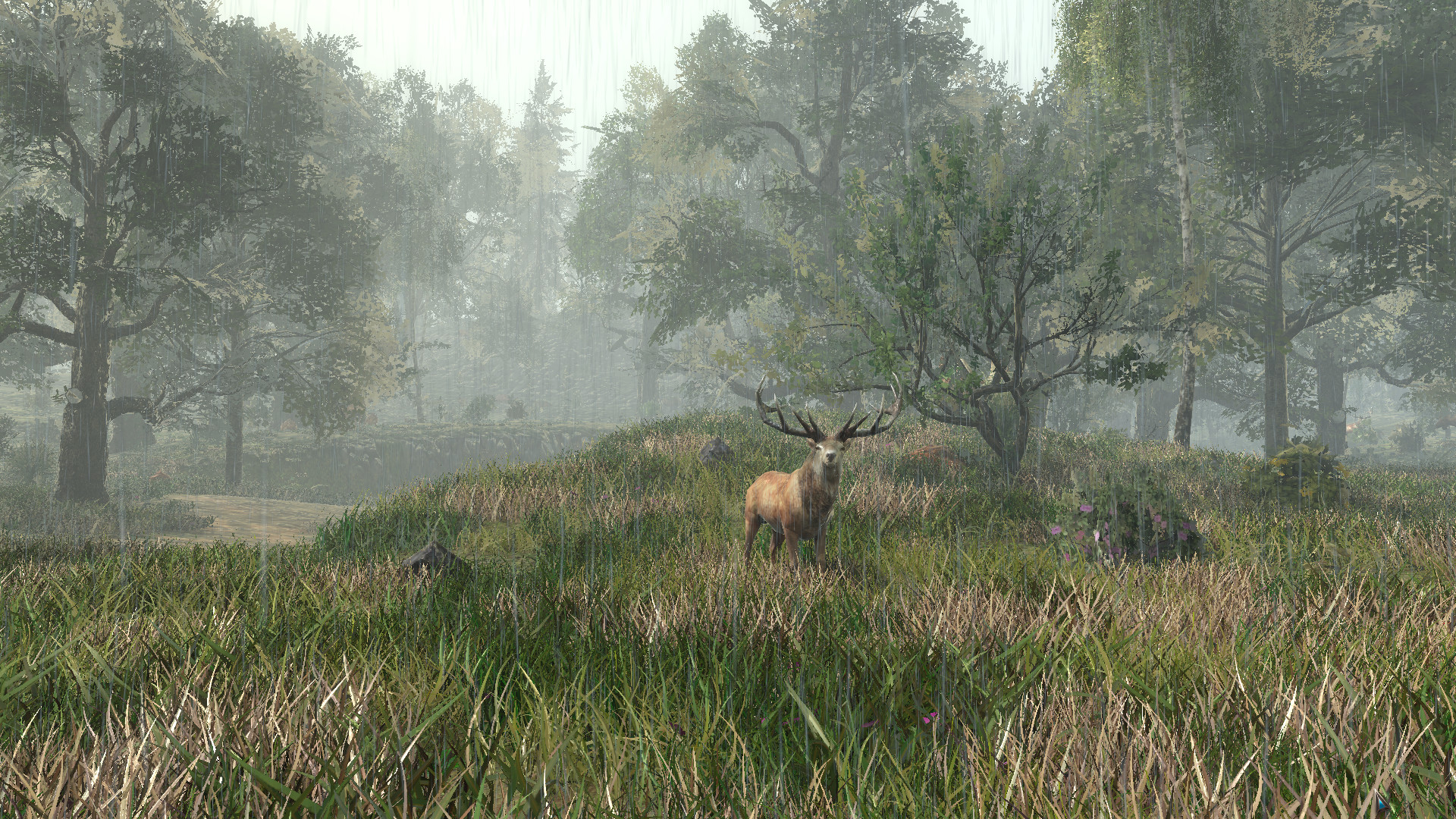 Life is Feudal: Forest Village Screenshot 13
