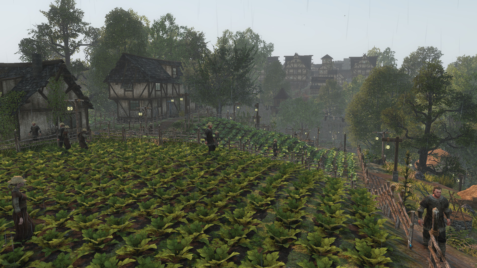 Life is Feudal: Forest Village Screenshot 10