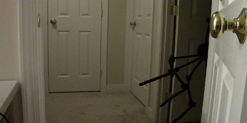 One Night Two Crazies Screenshot 3