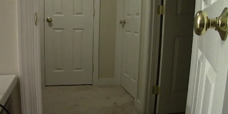 One Night Two Crazies Screenshot 2