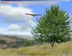 Vehicle Simulator Screenshot 7