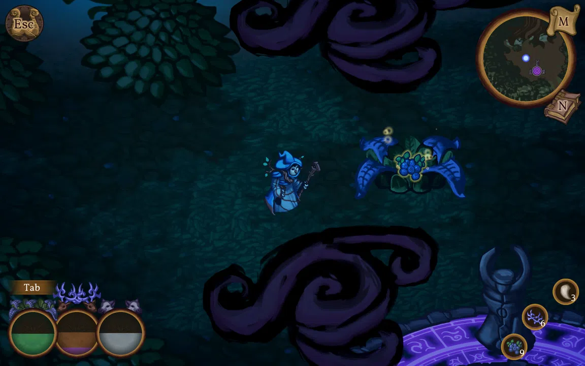 Witch of the Woods Screenshot 2