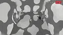The Door in The Skybox Screenshot 5
