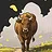 Super Bull