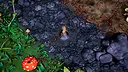 Ants Times Infinity Screenshot 5