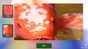 PhotoGuessr Screenshot 4