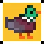 Start quacking! icon