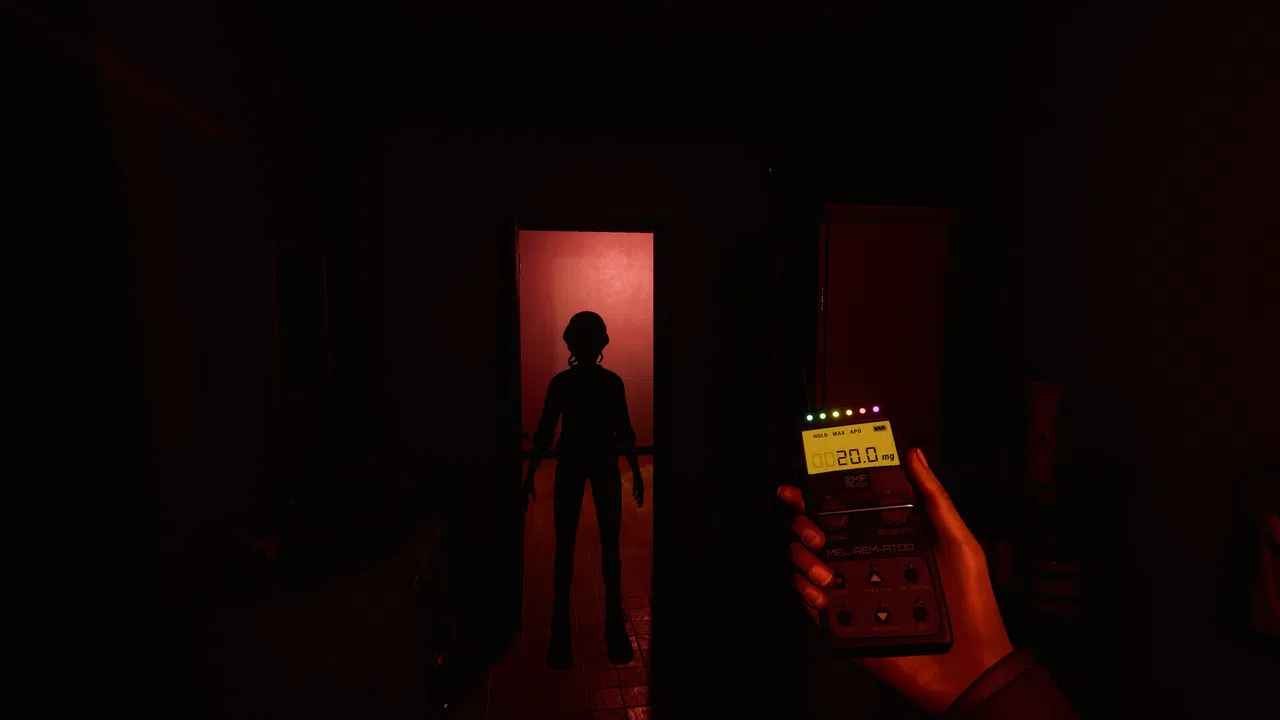 Last Inspection Screenshot 1