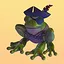Piracy? No, Pirate frog! icon