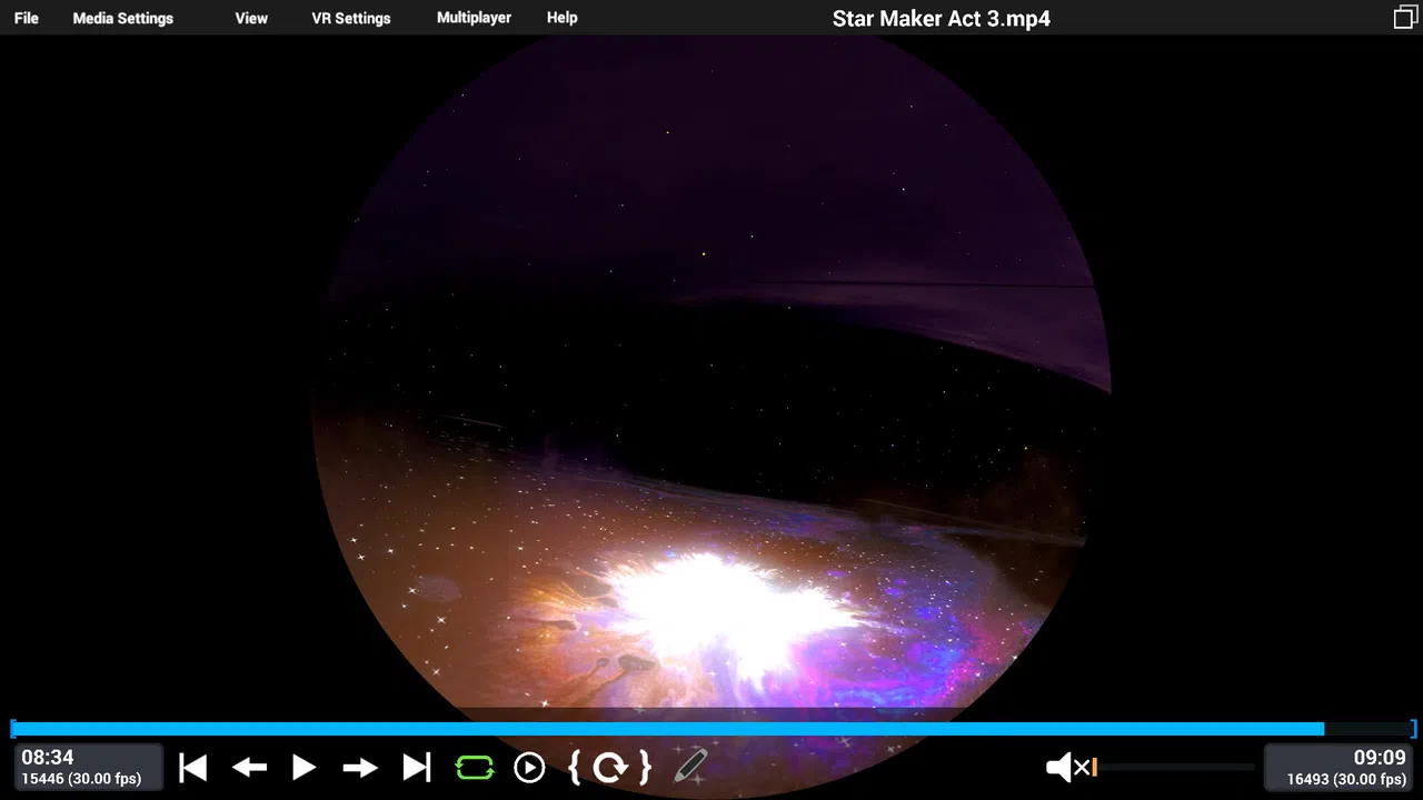 Festoon Screenshot 1