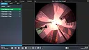 Festoon Screenshot 6