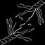 Hanging by a Thread icon