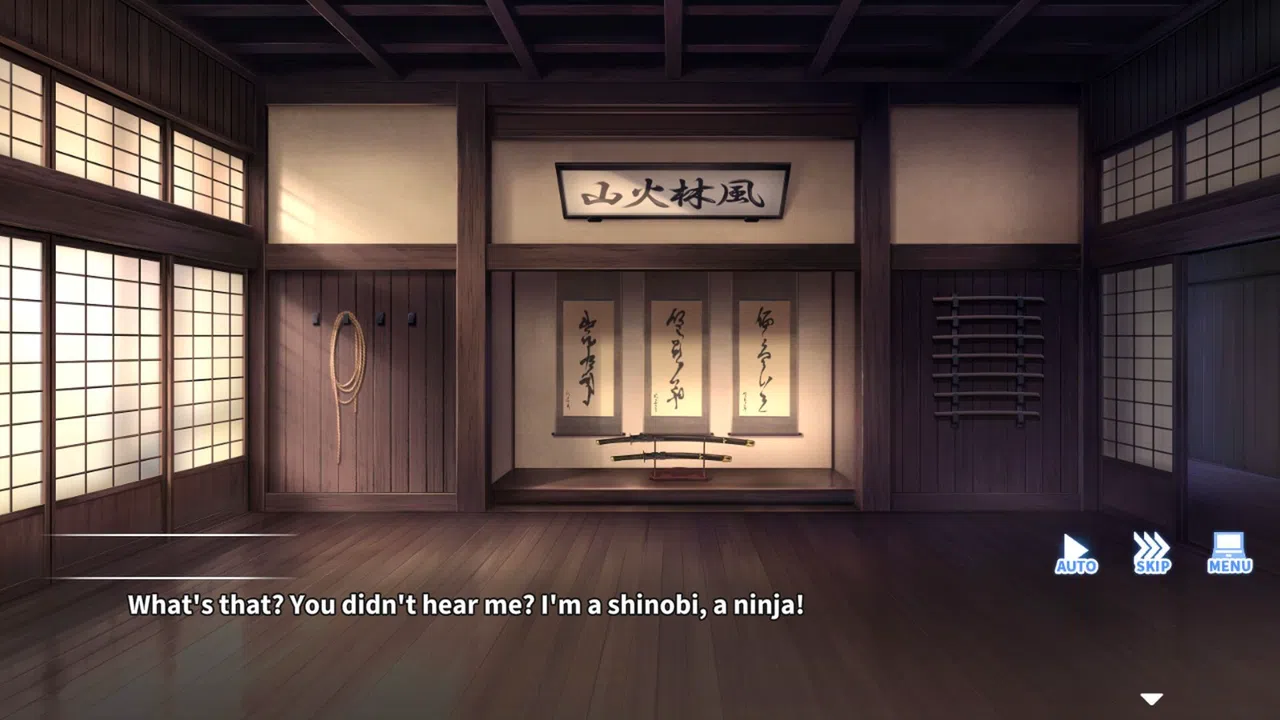 Do As I Say - Obedience to the Ninja Master Screenshot 0