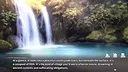 Do As I Say - Obedience to the Village Leader Screenshot 2