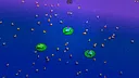 Feast for Frogs Screenshot 0