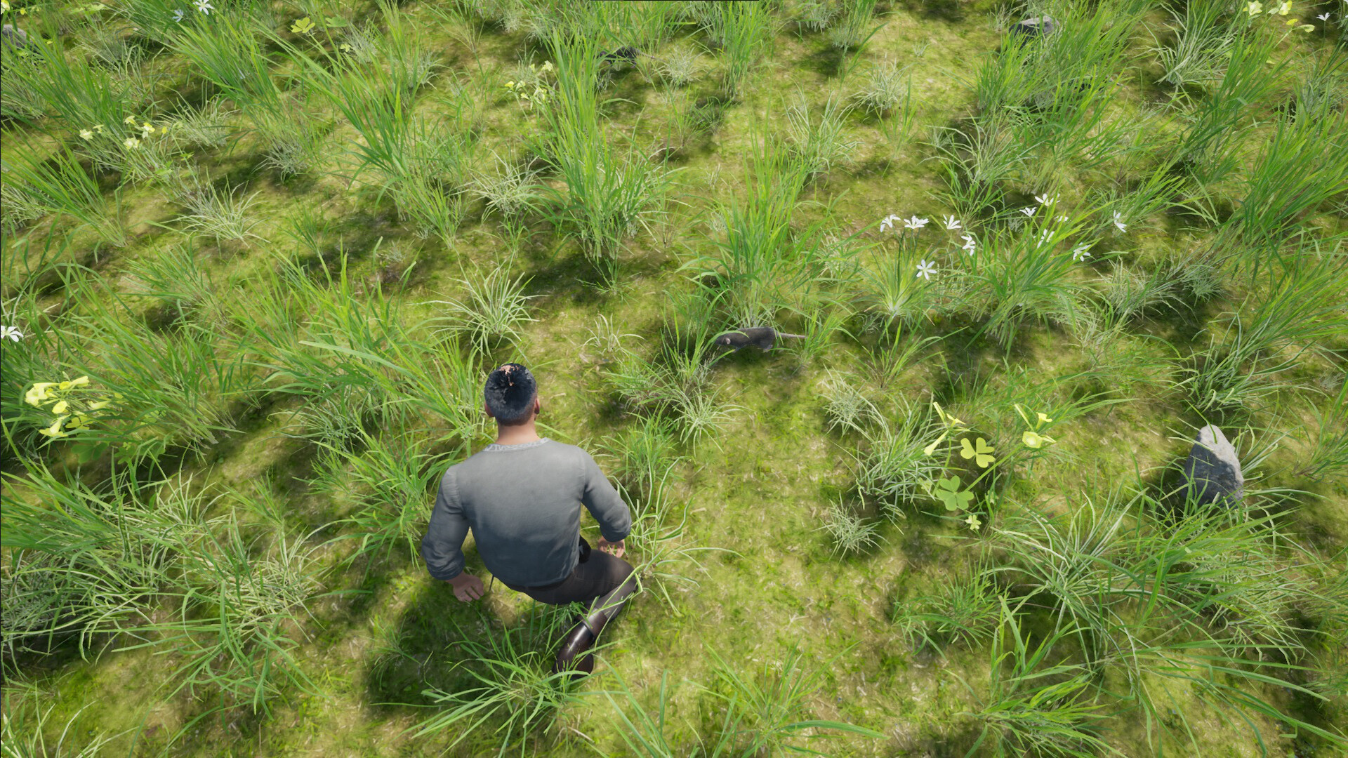 Statera: Aurum Screenshot 2