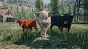 Ranch Simulator: Highland Cows Pack - Build, Farm, Hunt Screenshot 4
