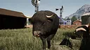 Ranch Simulator: Highland Cows Pack - Build, Farm, Hunt Screenshot 5