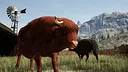 Ranch Simulator: Highland Cows Pack - Build, Farm, Hunt Screenshot 3