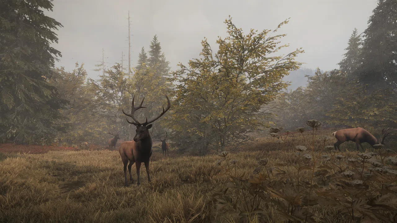 theHunter: Call of the Wild™ - Facing the Wild 1 Screenshot 3