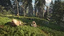 theHunter: Call of the Wild™ - Facing the Wild 1 Screenshot 6