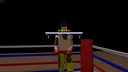 Online Boxing 3D Screenshot 0