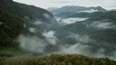 Wordless Forest Screenshot 3