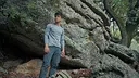 Wordless Forest Screenshot 4