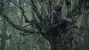 Wordless Forest Screenshot 5