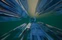 free as fish Screenshot 2