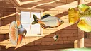 free as fish Screenshot 12