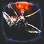 Arch-angel wingman icon