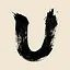 Solve U icon