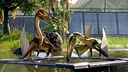 Jurassic World Evolution 2: Park Managers' Collection Pack Screenshot 8