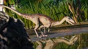 Jurassic World Evolution 2: Park Managers' Collection Pack Screenshot 6