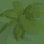 Grow a Tree icon