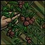 Foraging (Sovereignty) icon