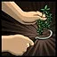 Herbalism icon