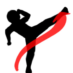 Strike hard, strike fast icon