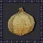 Stinky Onion Tower icon