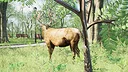 Become A Monarch Screenshot 3