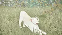 Become A Monarch Screenshot 4