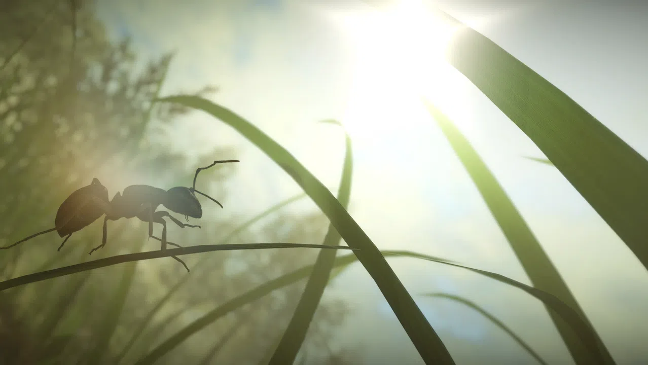 Insect Worlds Demo Screenshot 7