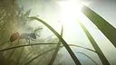 Insect Worlds Demo Screenshot 7