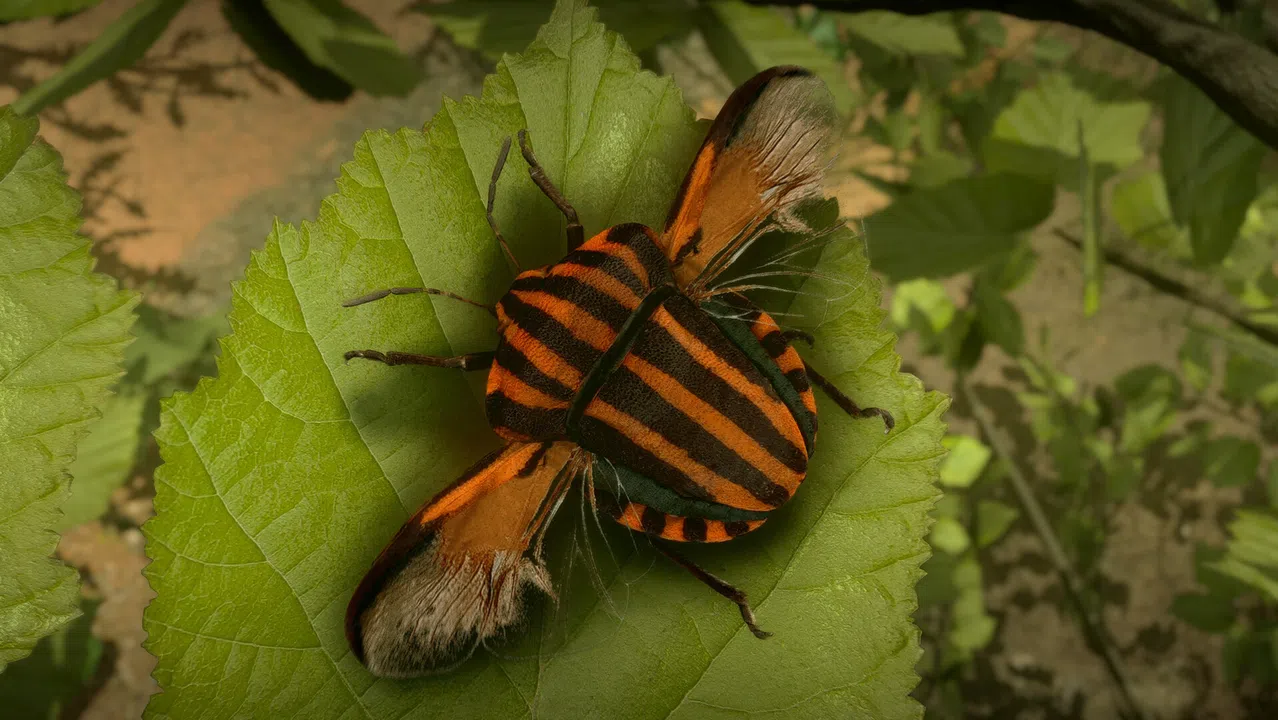 Insect Worlds Demo Screenshot 9