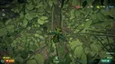 Insect Worlds Demo Screenshot 13