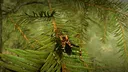 Insect Worlds Demo Screenshot 4