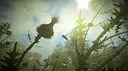 Insect Worlds Demo Screenshot 2